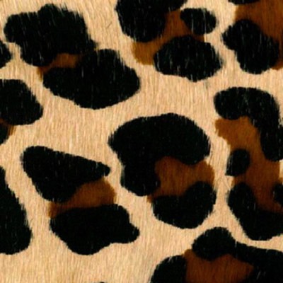 Cow Print Cebra Leopard