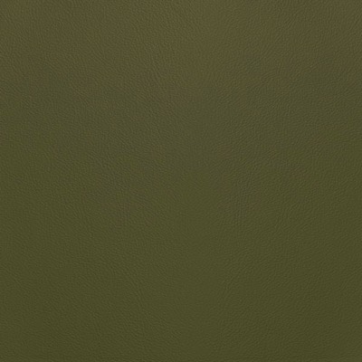 Oyster Gray Green